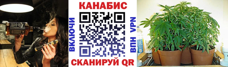 Конопля AK-47  Купить  Тайга 